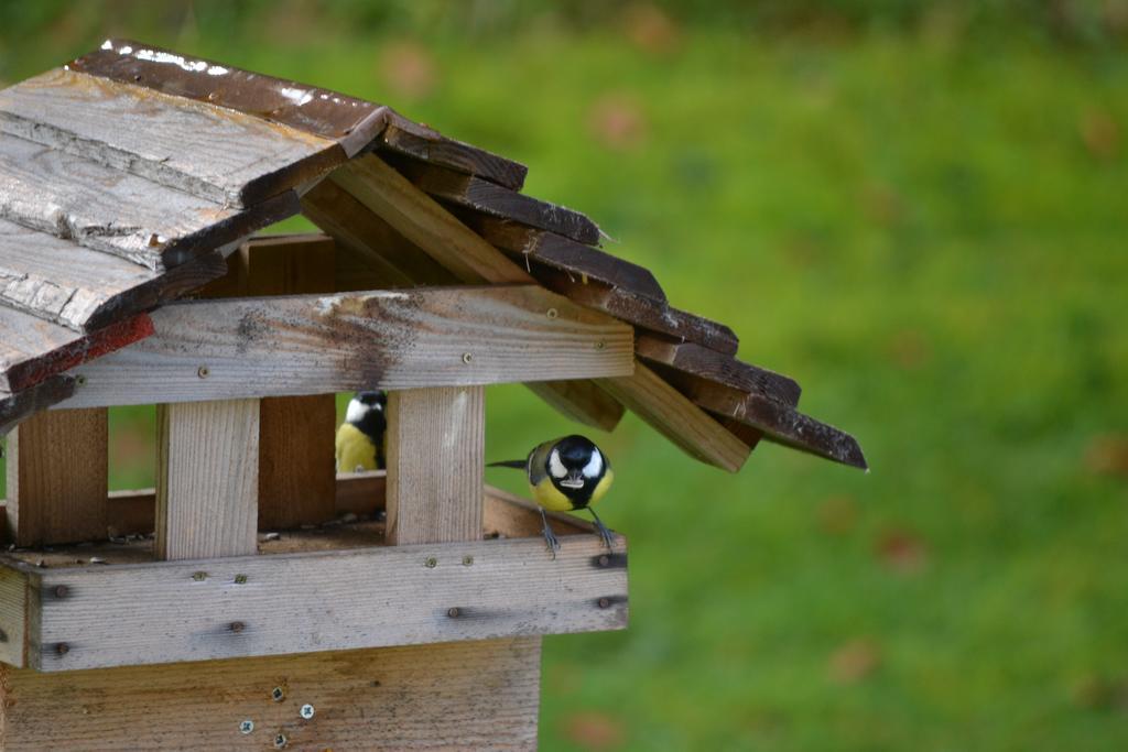 Mini hotel Škofja Loka Kültér fotó